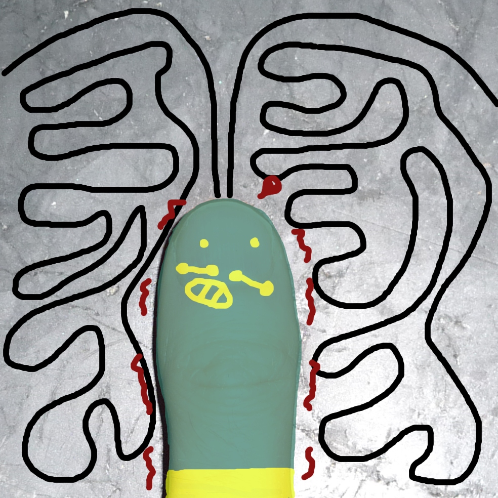 Toxoplasma Thumbii